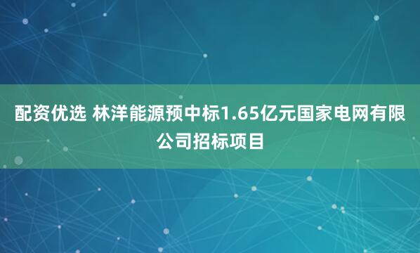 配资优选 林洋能源预中标1.65亿元国家电网有限公司招标项目