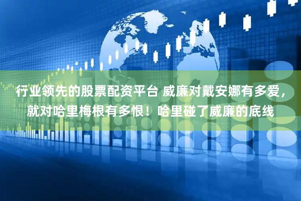 行业领先的股票配资平台 威廉对戴安娜有多爱，就对哈里梅根有多恨！哈里碰了威廉的底线